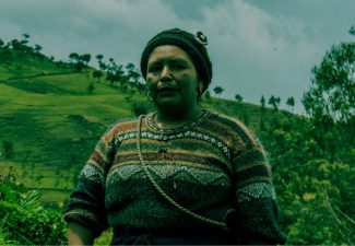 Declaración derechos campesinos