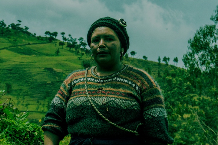 Declaración derechos campesinos