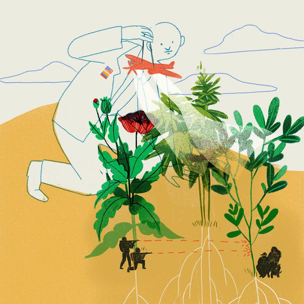 CNE extiende el PECIG al autorizar las fumigaciones aéreas con glifosato para cultivos de coca y de marihuana