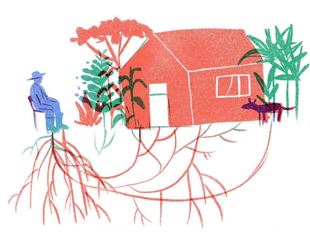 MinAmbiente exige un Plan de Manejo Ambiental para el PECIG