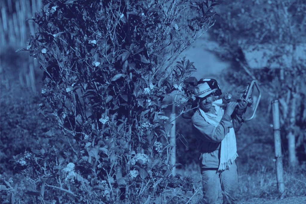 Restitución de tierras