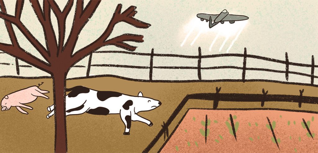 MinAmbiente impone un Plan de Manejo Ambiental para el PECIG