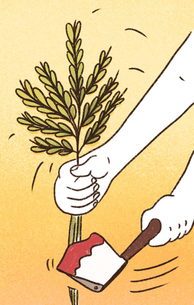 ANLA modifica el PMA del PECIG en el sentido de incluir el PECAT