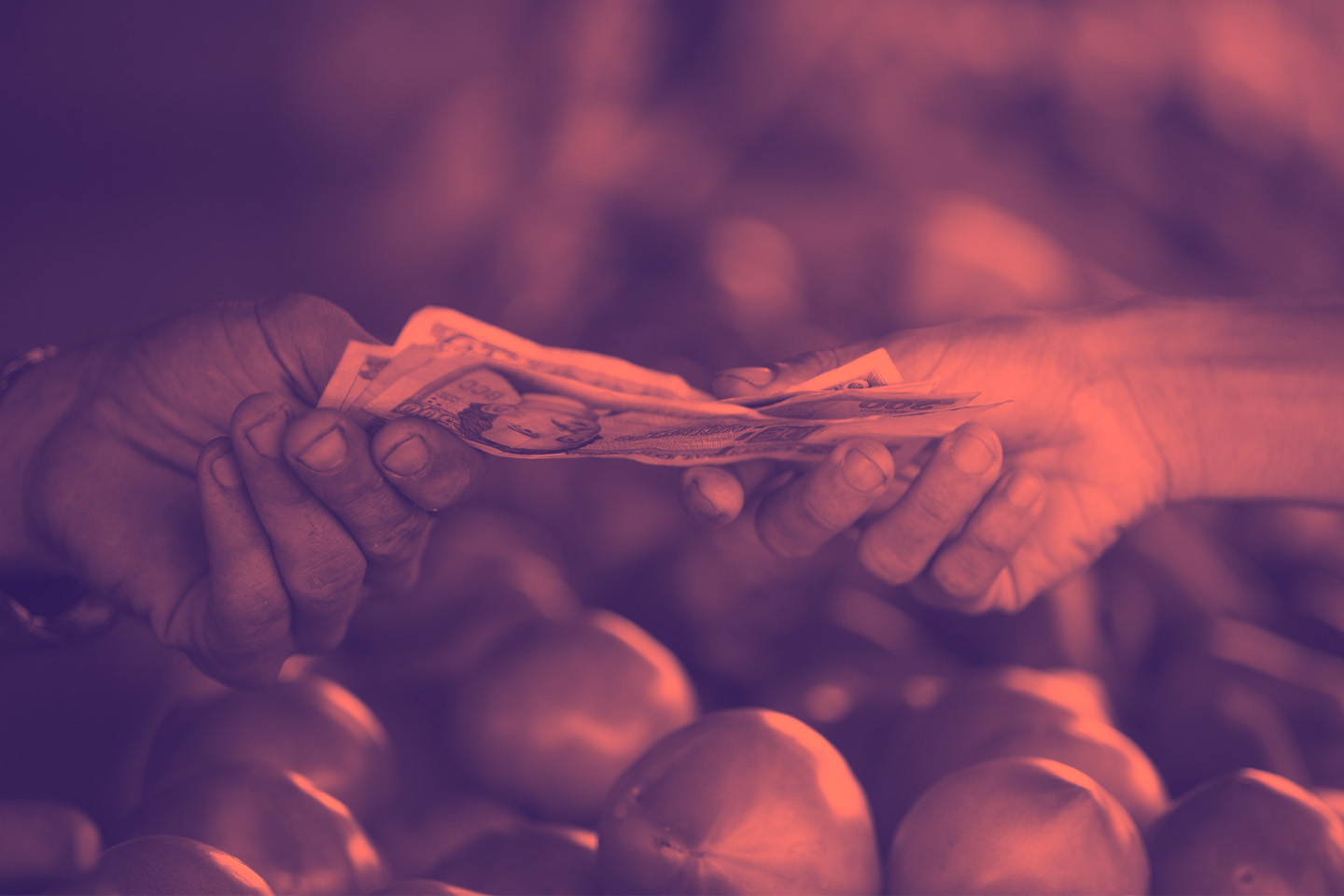 justicia tributaria global