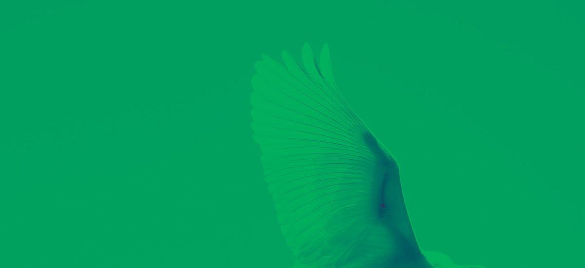 Plan Nacional de Desarrollo ambiental