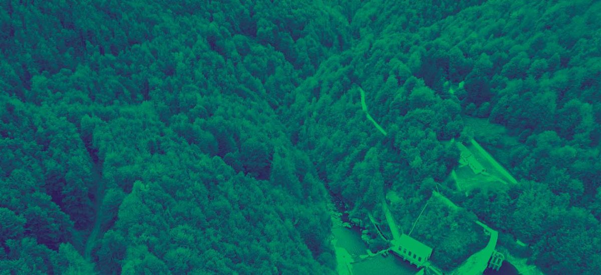 Derechos de la naturaleza