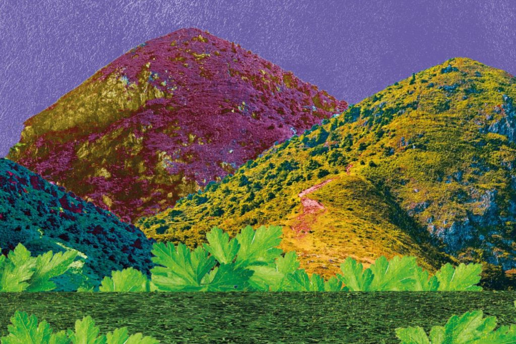 El objetivo es limitar el aumento de la temperatura media global a un máximo de 1.5 ºC para 2030.