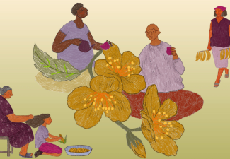 Argentina pidió en 2023 que la Corte definiera el contenido y alcance del derecho al cuidado.