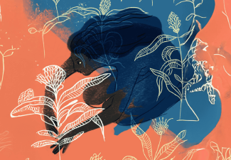 Dejusticia considera que se le vulneró el derecho a la igualdad a Sofía,