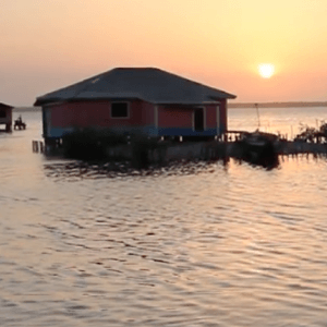 envirojustice-thumbnail2